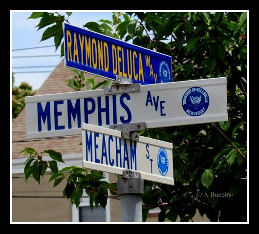 RAYMOND DELUCA WAY street honors Raymond P. De Luca, KIA Vietnam war.